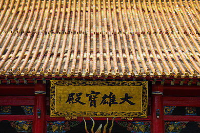 害羞研究所隐藏入口｜揭开害羞之门：探寻都市神秘研究所的心理学秘境-1