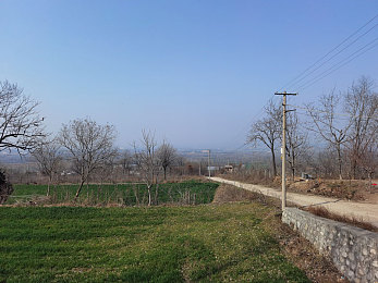 福建大菠萝,探索福建神秘水果世界 解谜冒险揭开大菠萝之谜-3