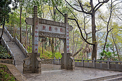 女人与公牛做爰,醉酒女子与公牛事件震惊全球 引发道德与法律的深刻反思-3
