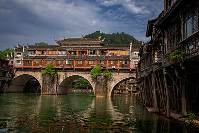 含羞草app免费｜免费畅游神秘花园，含羞草app带你开启奇幻探险之旅-4