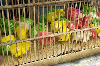 浇地最简单最快的方法｜农业创新新篇章：滴灌、喷灌、微灌引领高效节水灌溉潮流-1