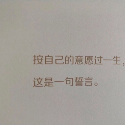 四虎mv最新地域网名怎么取：地域网名热潮席卷网络,四虎MV引领个性化表达新潮流-5