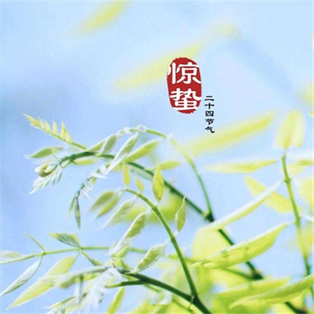 九九.久久er｜揭开“九九久久er”神秘面纱，传承千年吉祥寓意-3