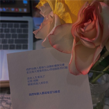 麻豆传媒出品在线观看｜成人影视作品热议，引发社会道德与法律思考-4